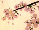{̎lG@No.11